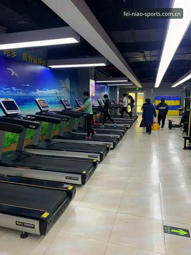 小鸟体育数据分析安装失败 小鸟体育数据分析安装失败?实战派三步排查与修复实用技巧